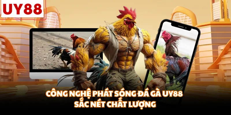 Công nghệ phát sóng đá gà UY88 sắc nét chất lượng