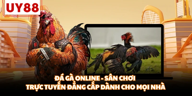 Đá Gà Online - Sân Chơi Trực Tuyến Đẳng Cấp Dành Cho Mọi Nhà
