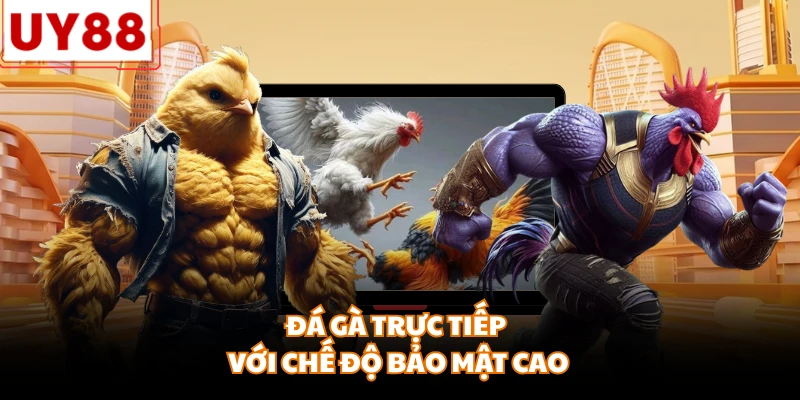 Đá gà trực tiếp với chế độ bảo mật cao