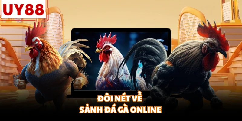 Đôi nét về sảnh đá gà online