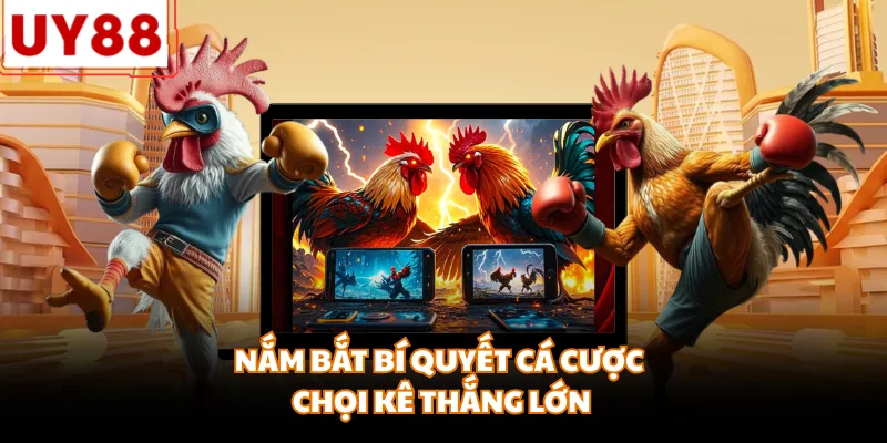 Nắm bắt bí quyết cá cược chọi kê thắng lớn