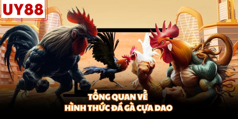 Tổng quan về hình thức đá gà cựa dao